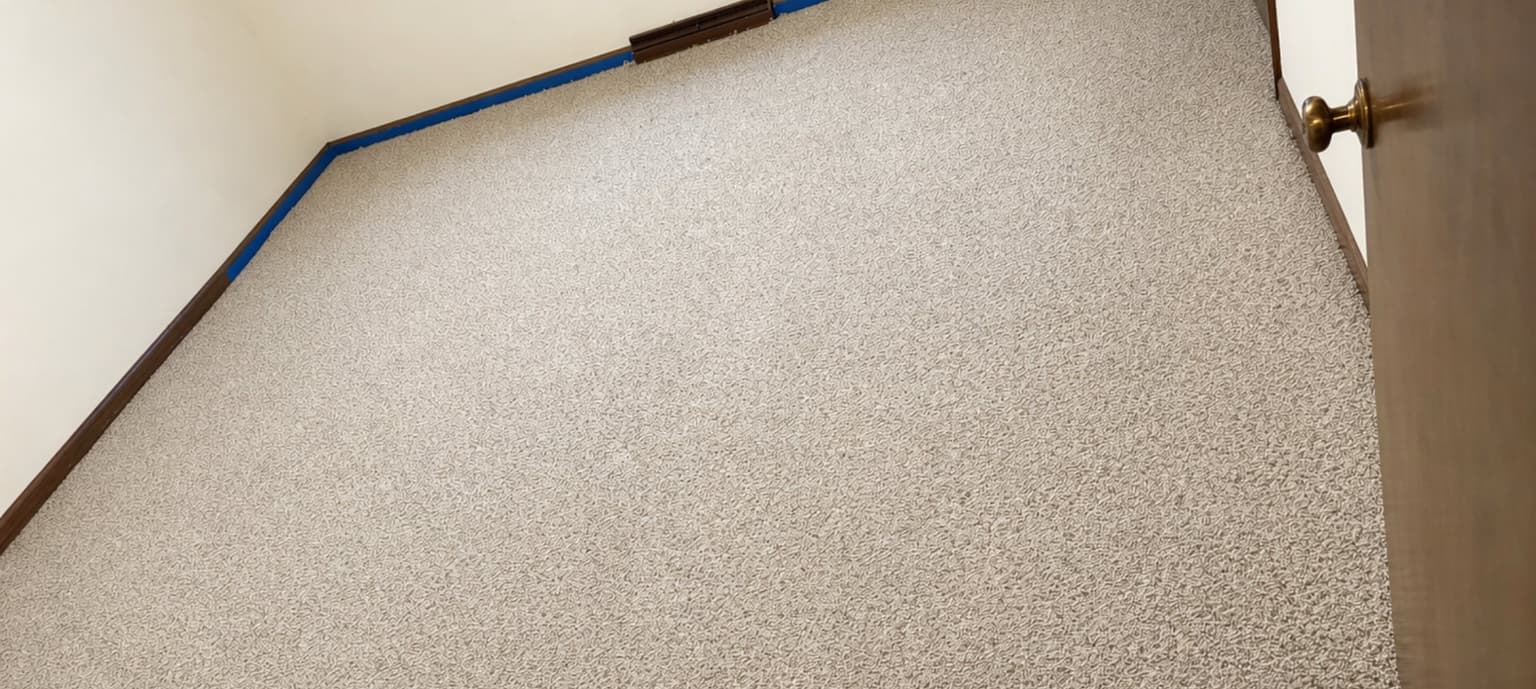 Carpet cleaning in Bethpage, TN