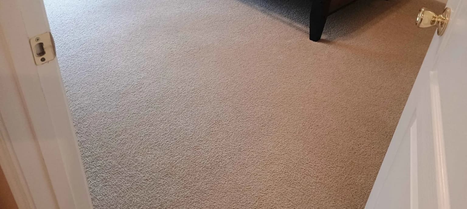 Carpet cleaning in Castalian Springs, TN
