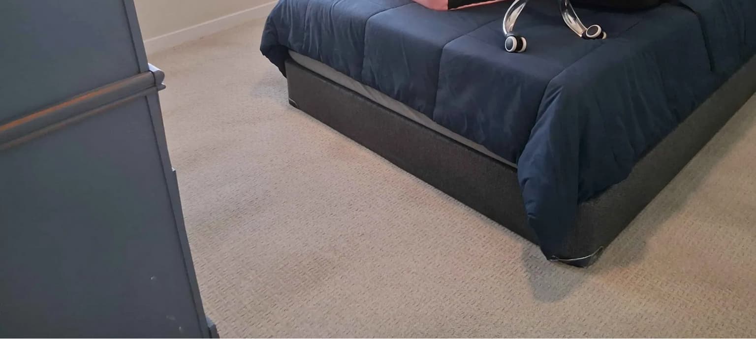 Carpet cleaning in Cottontown, TN