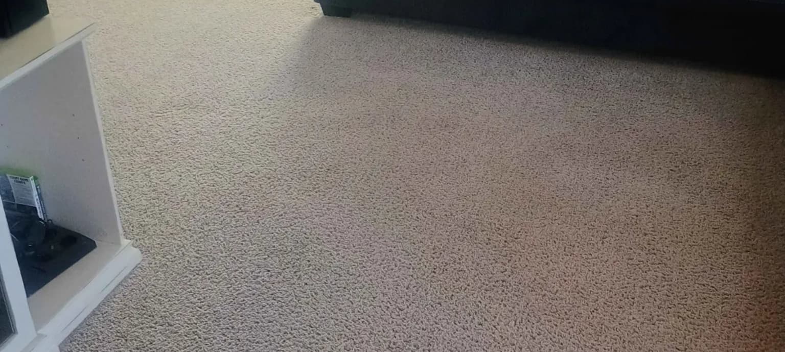 Carpet cleaning in Cross Plains, TN