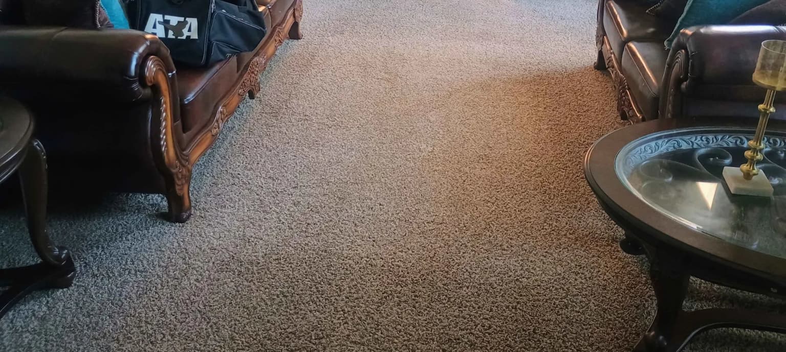 Carpet cleaning in Gallatin, TN