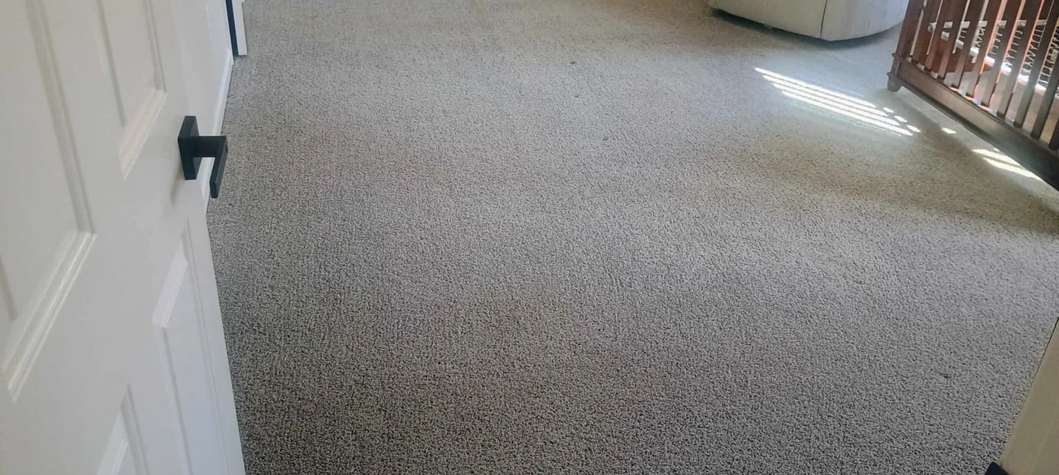 Carpet cleaning in Hartsville, TN