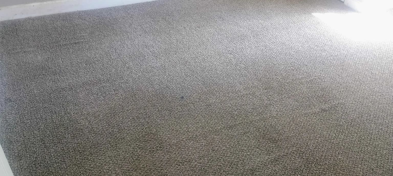 Carpet cleaning in Hendersonville, TN