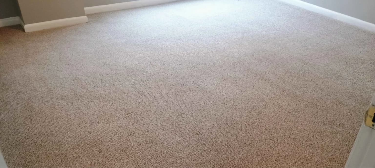 Carpet cleaning in Lebanon, TN