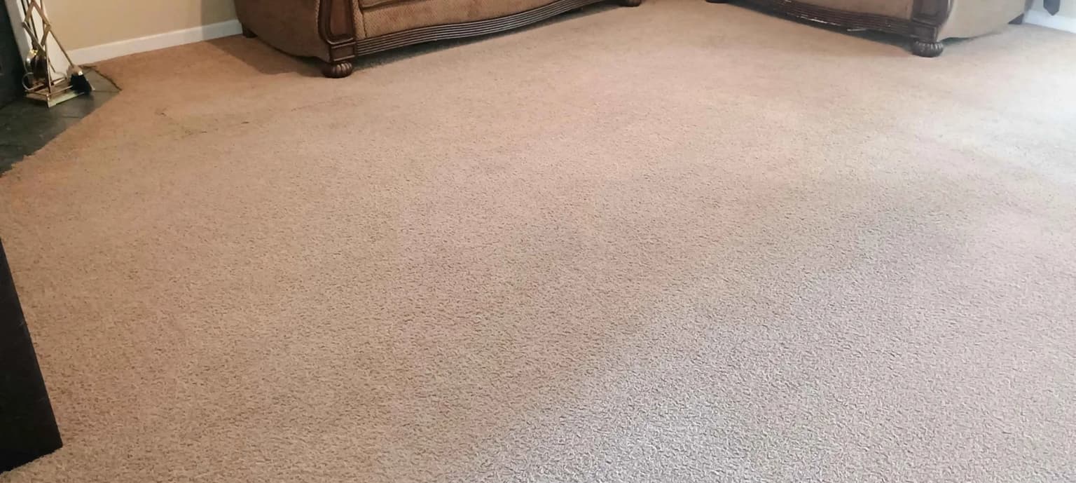 Carpet cleaning in Portland, TN