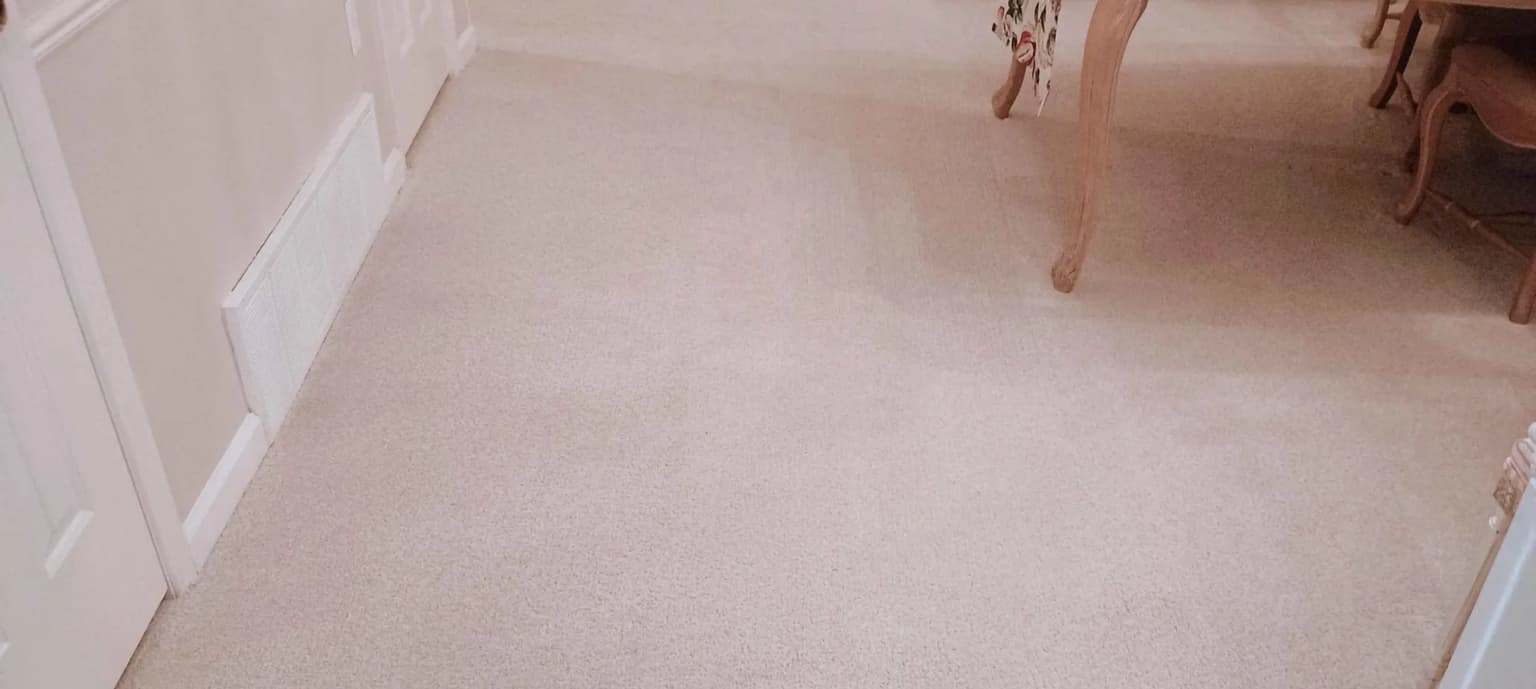Carpet cleaning in Shackle Island, TN