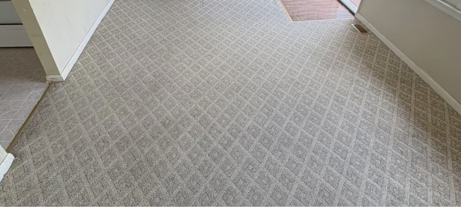 Carpet cleaning in White House, TN