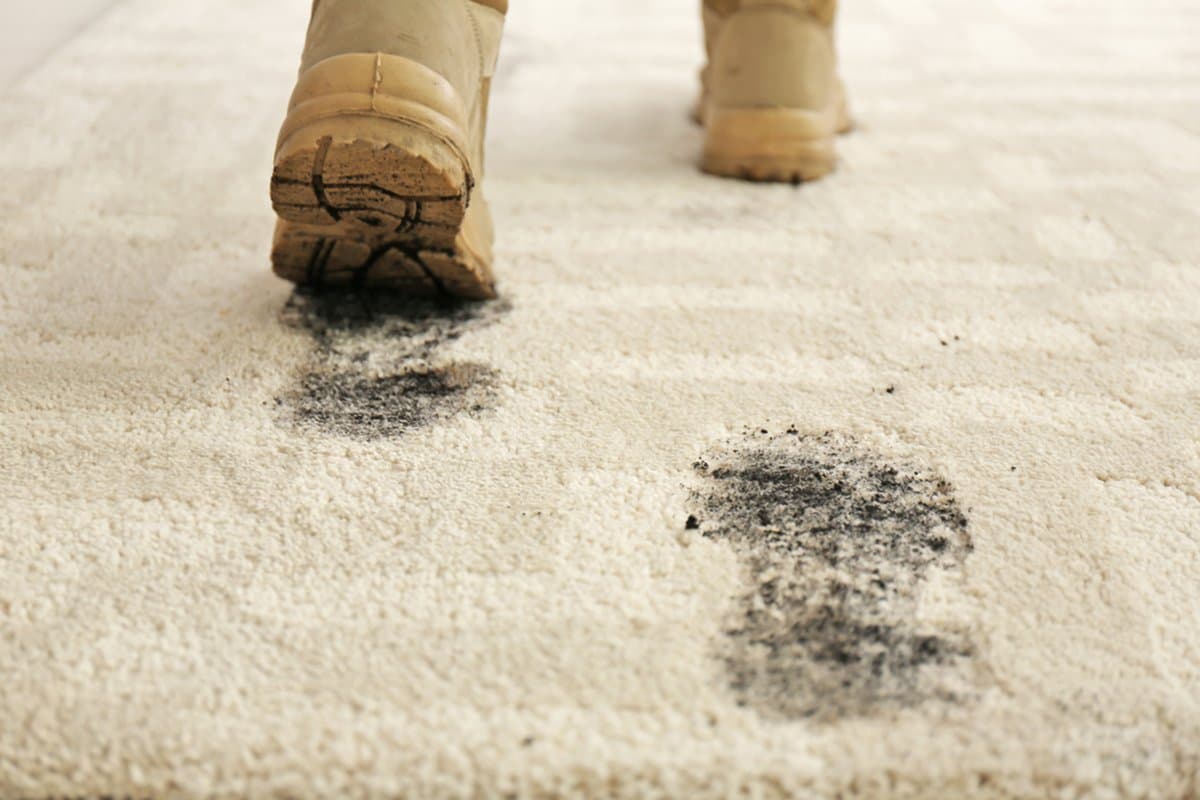 5 Common Carpet Cleaning Mistakes and How to Avoid Them