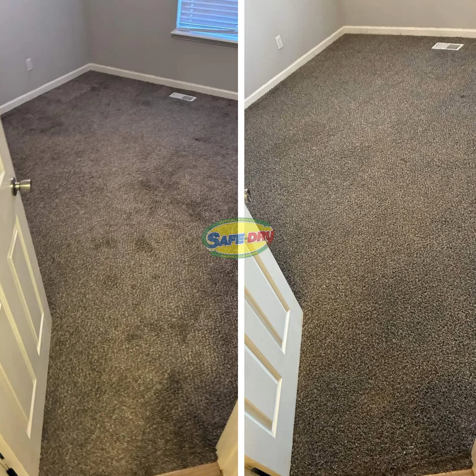Average Carpet Cleaning Cost in Gallatin