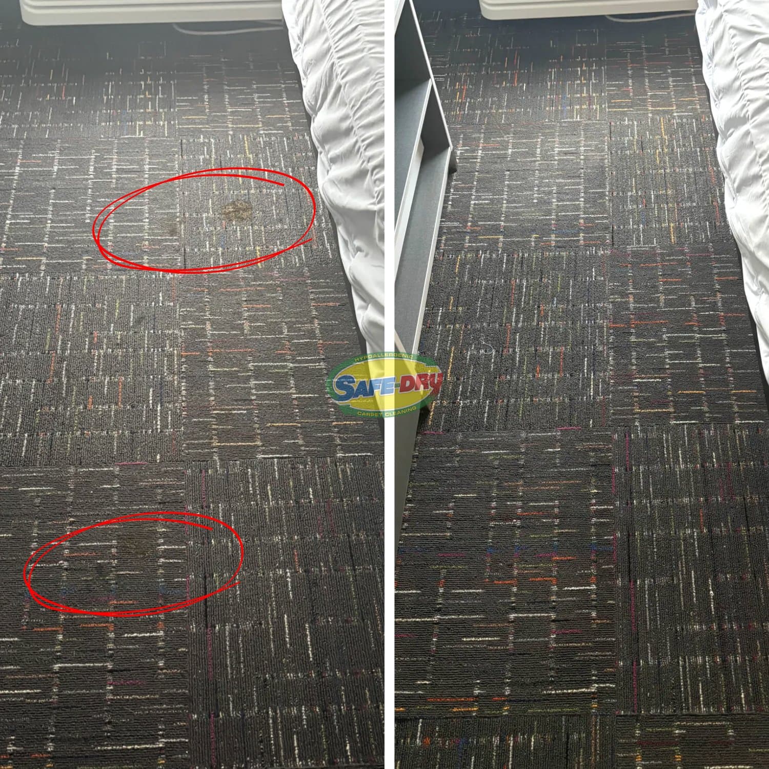 How Safe-Dry Removed Stains and Odors From Carpet