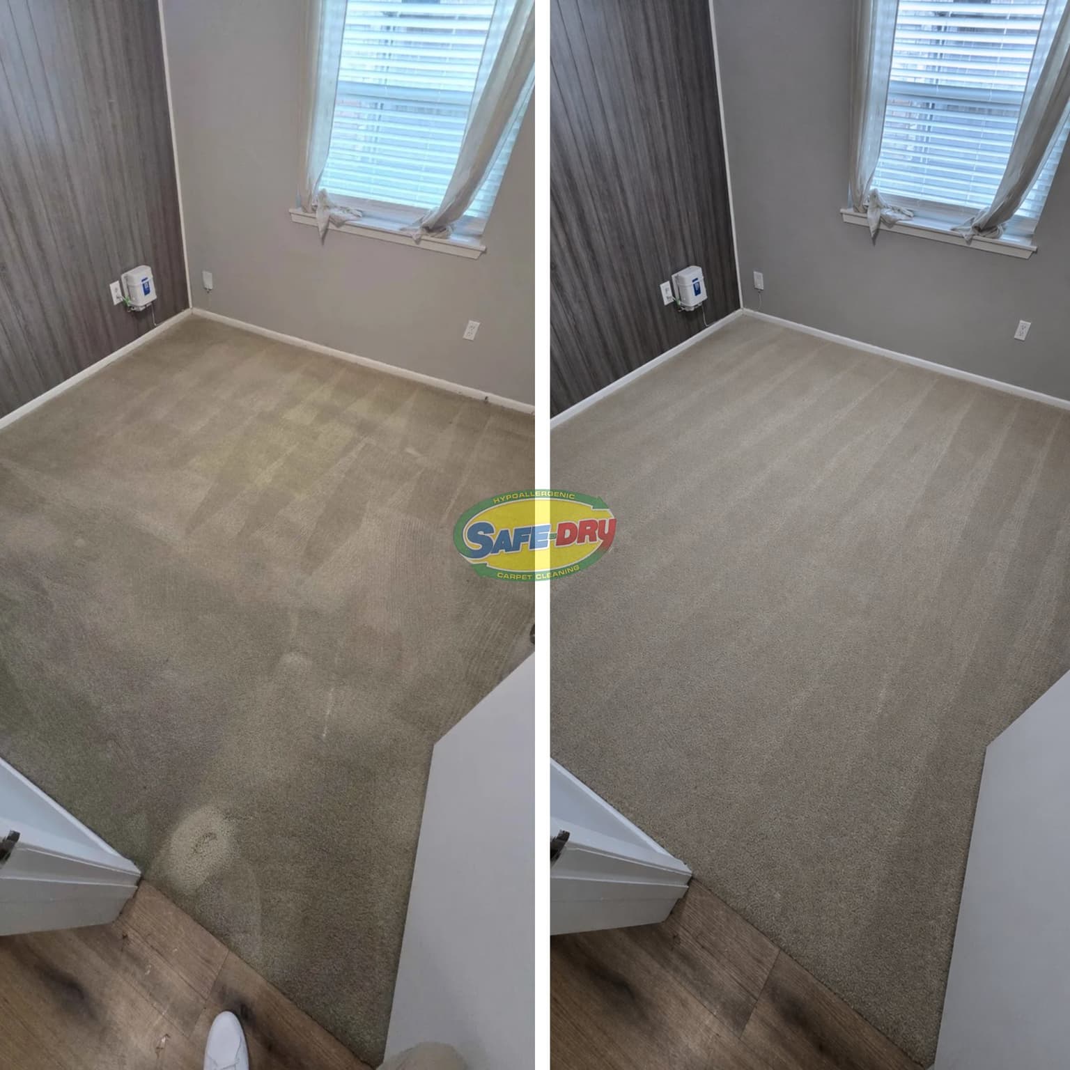 Why Regular Carpet Cleaning Matters