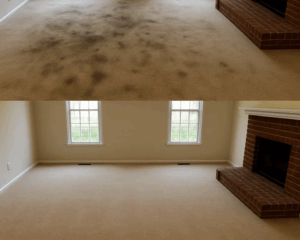 Best Residential Carpet Cleaning