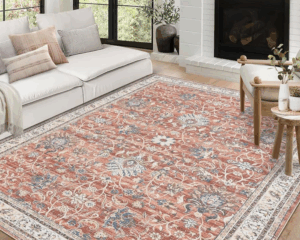 Best rug cleaning service