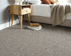 Modern home with clean carpet