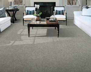 Modern home with clean carpet