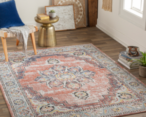 Best rug cleaning service