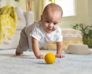 Hypoallergenic Carpet Cleaning, Baby Crawling on Carpet