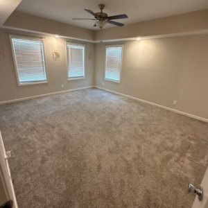 Carpet cleaning in Hendersonville, Tennessee with stain and odor removal before and after results